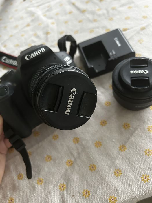 Canon EOS 2000D + 50mm lens  f/1.8 STM