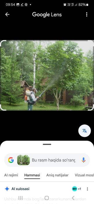 Уй ховлилар замда  мевали манзарали дарахтлар дорилаш