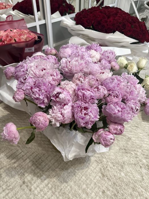 Продам пионы , 51 штук.