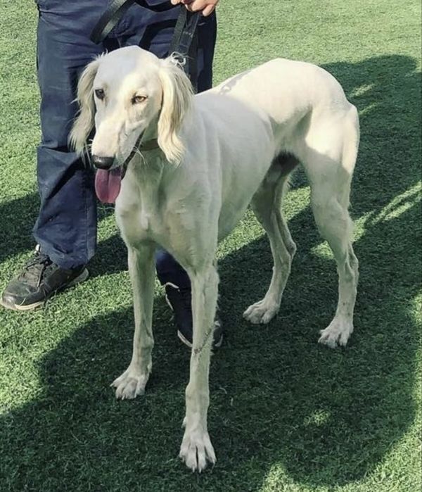 Тазы 2 жаста ауызданган