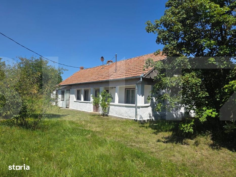 Casa taraneasca in centru- Hatuica
