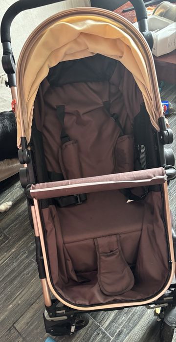 Vand Carut 2 in 1 LITTLE BIRD