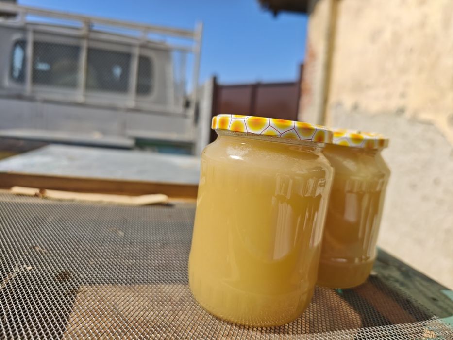 Vând miere de rapiță 12 kg