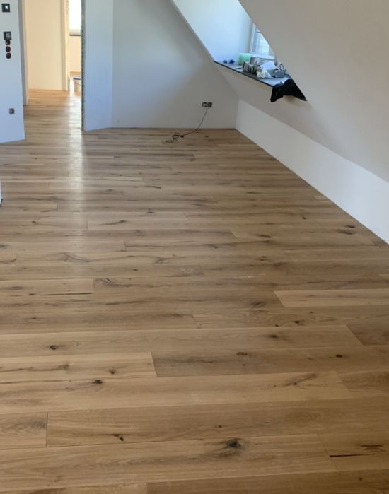 Debarasări case apartamente igienizari