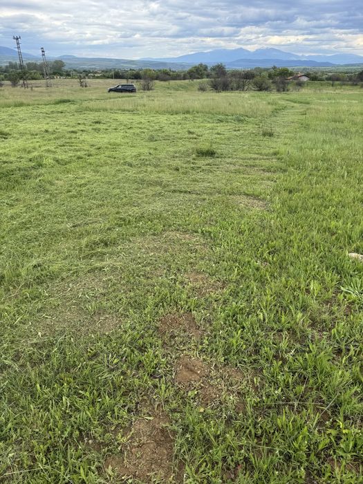 Продава се Земеделски имот в с. Пиперков чифлик, Област Кюстендил -  кв.м за 3395 €/дка - Снимка #6