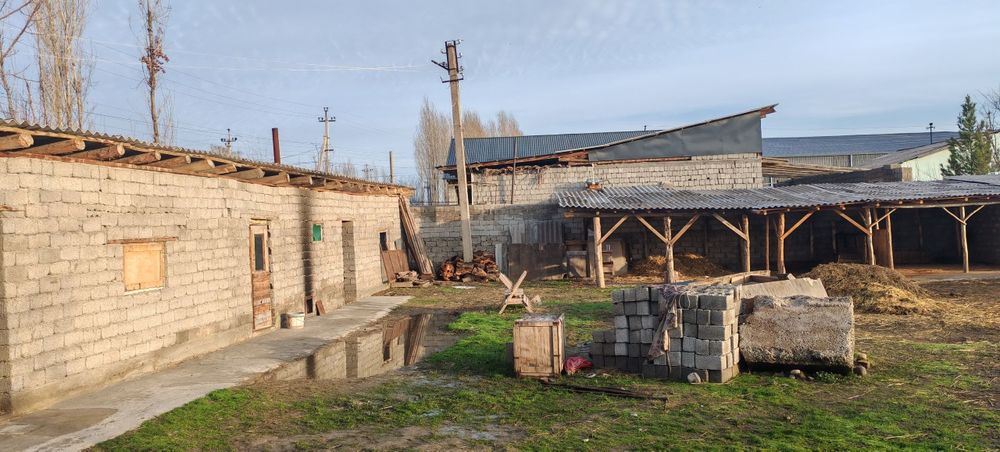 Сурумда 10 сотих учаска сотилади