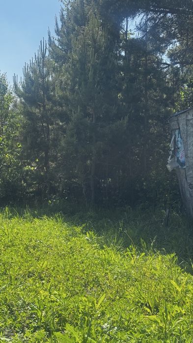 Продам дачу в с/о Куйбышевец