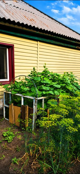 Продам частный дом 6 комнатный