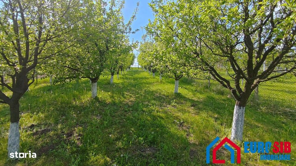 Teren intravilan 1000 mp in Sibiu Daia Noua