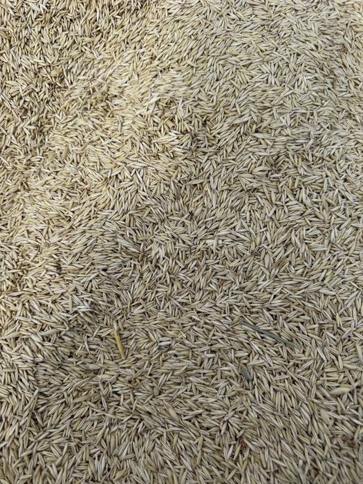 Vand ovaz muresana C1