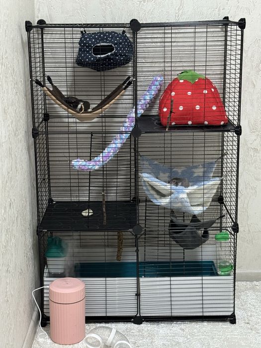 Продам крыс/крыски