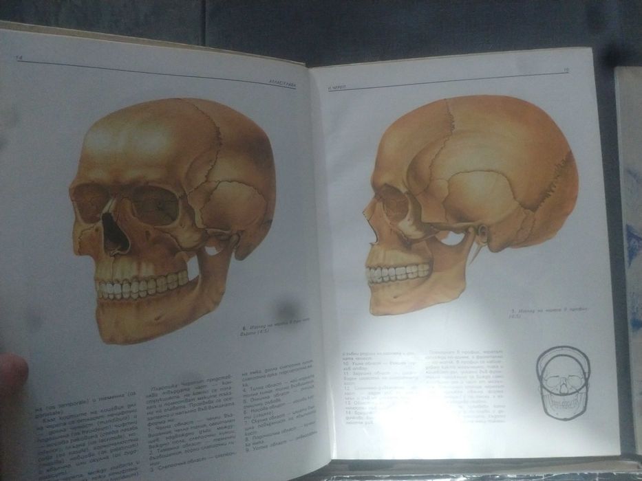 Книги за художници