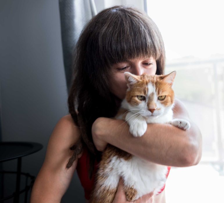 Pet sitting and boarding