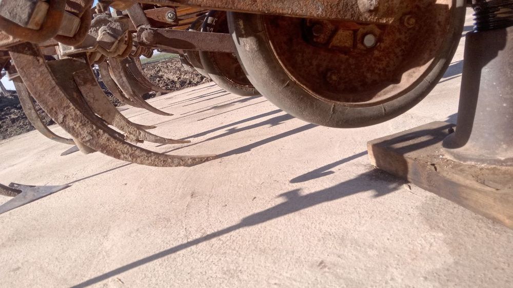 Рассиский култиватсия