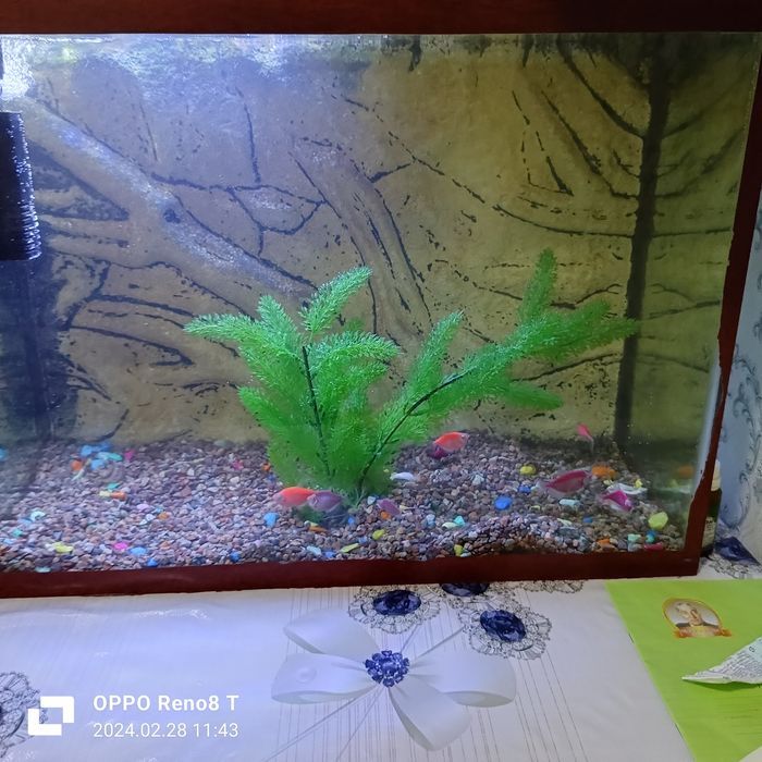 Аквариум в отличном состоянии
