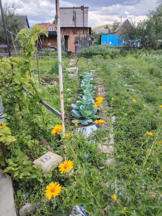 Продам дачу 6 соток