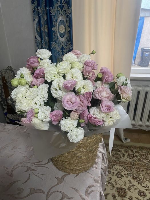 Цветы Эустома. Гүлдер, Цветы