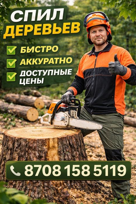 Спил и обрезка деревьев любой сложности, быстро и аккуратно .
Професси