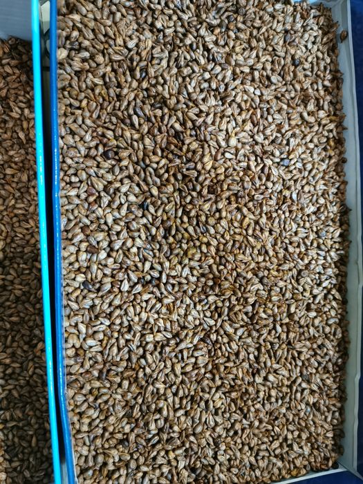 Косточки винограда (семечки)