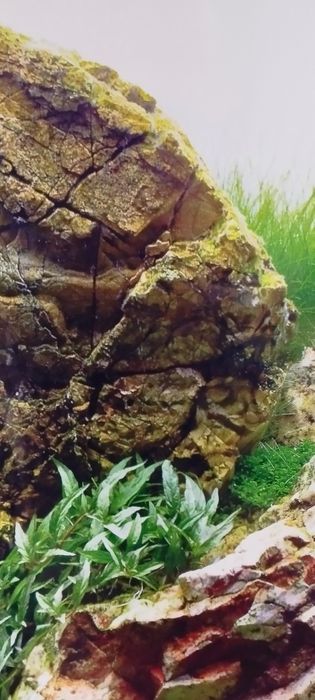 Фоны для аквариума, террариума.