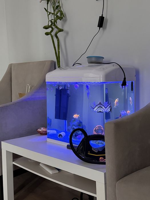 Аквариум 70 л с рыбками и кормом