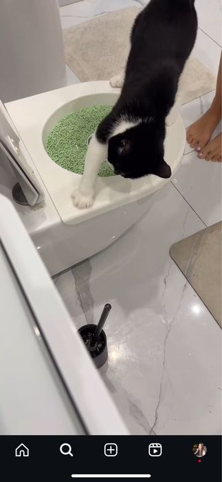 Лоток для приучение к унитазу