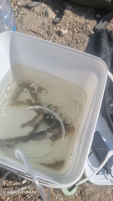 помпа за въздух с usb за риболов и аквариум