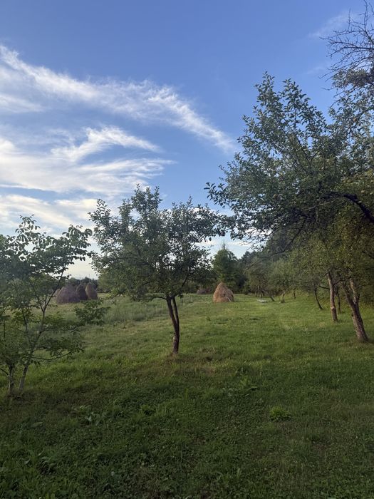 Vand proprietate cu 3 case , grajd , beci si teren cu pomi fructiferi