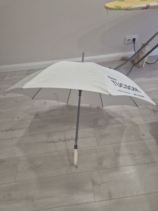 Новые зонты, разные