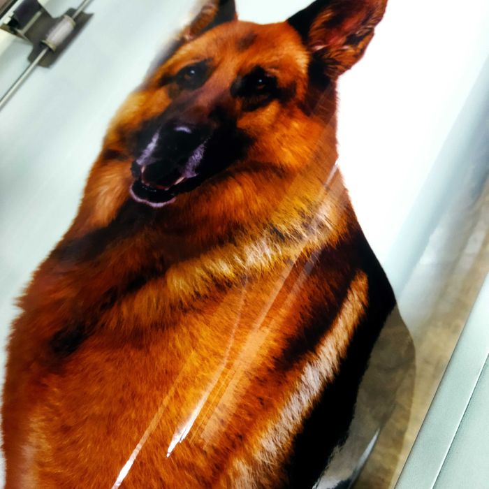 Печать на баннере, оракале, самоклейке. Изготовление стикеров