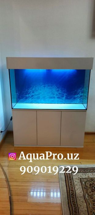 Akvarium yangi 260l