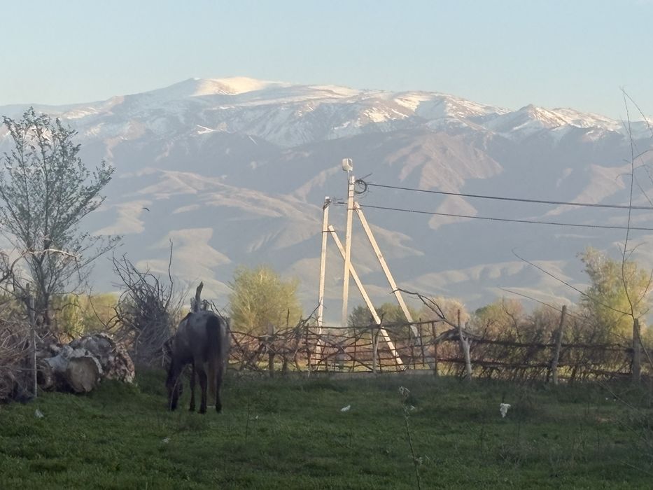 Продам дом срочноо