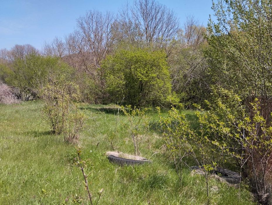 Продава се Къща в с. Долище, Област Варна - 60 кв.м за 1484 €/кв.м - Снимка #12