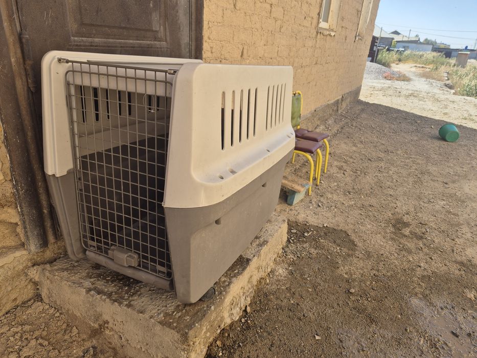 Переноска для крупных собак.