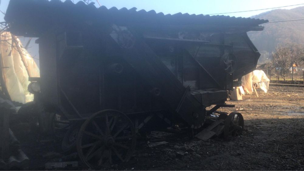 Batoza lucerna, trifoi, grau