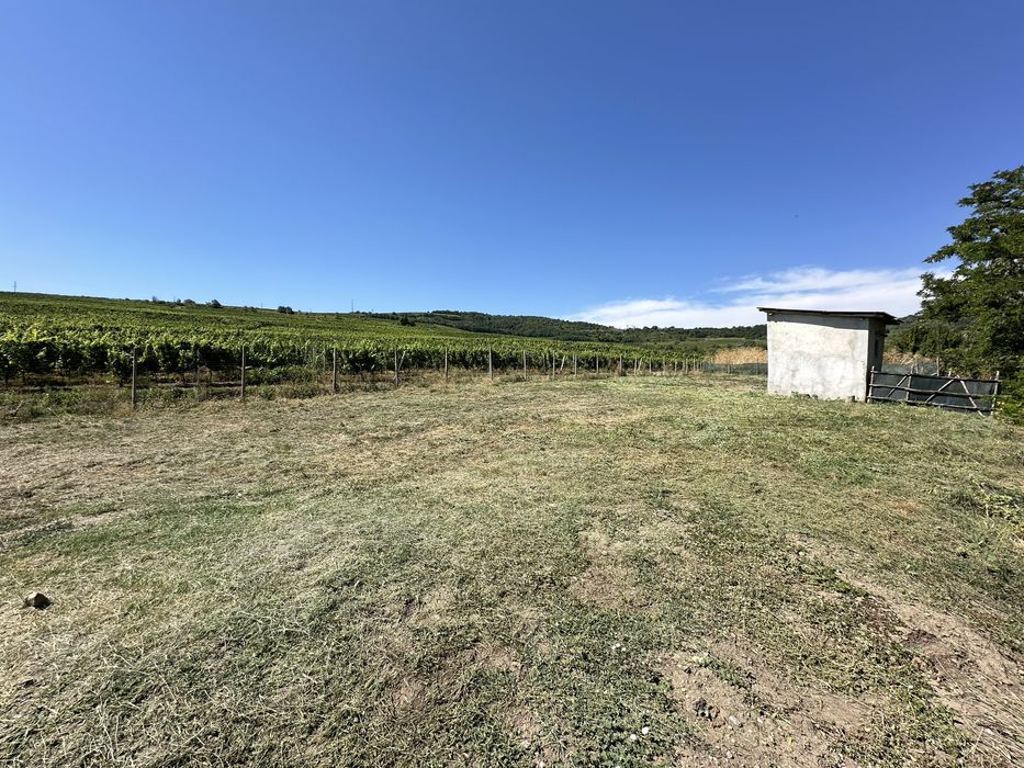 Vând teren intravilan în Huși (suprafață intreagă sau 2 loturi)