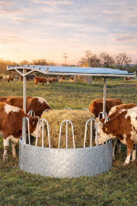 Топ оферта! Предлага различни видове хранилки.