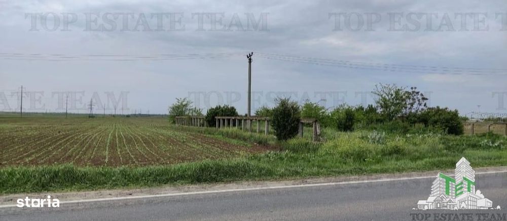Teren intravilan - vanzare - centura - Cazasu - Braila