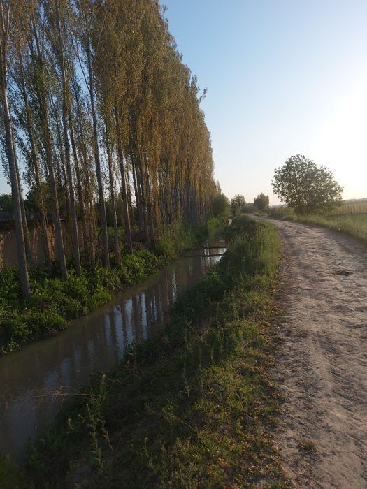 Уй сотилади, катта участка, ховли.