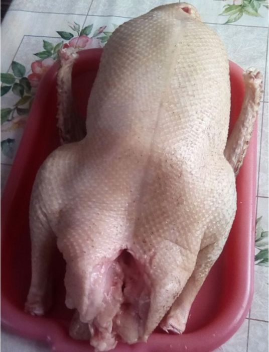 Продам гусей 5 месяцев