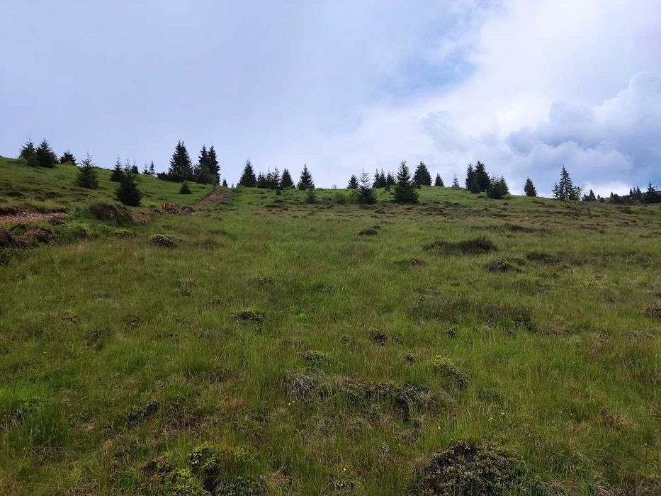 Teren extravilan Poiana Horea