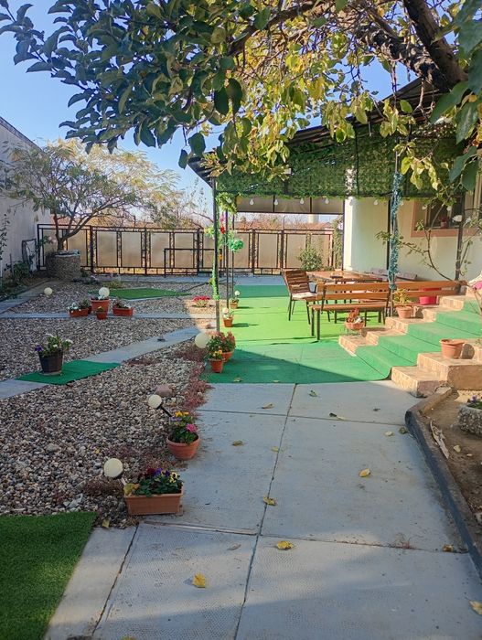 Regim hotelier Chișineu cris