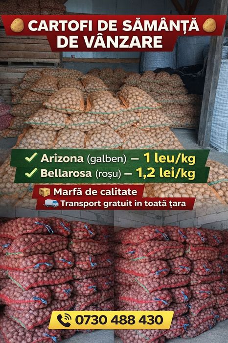 Cartofii de samanta galben si rosu