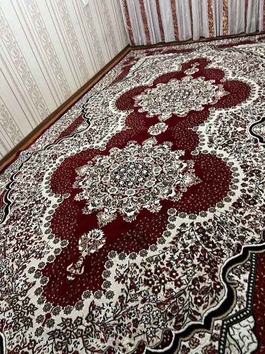 Колин палос сотилади