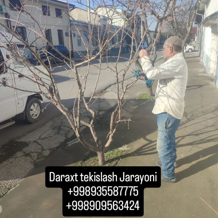 Nihol kesish,qurish,qirqish