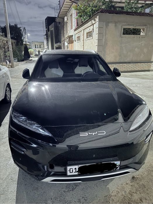 BVD chempion 2023  Rent car