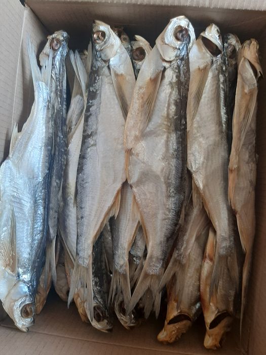 Рыба копчёная чехня кепкен балык