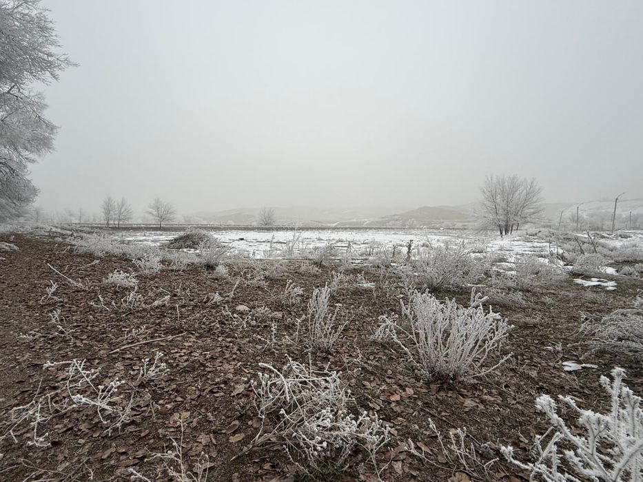 Қарасай ауданырда шұғыл түрде жер сатылады.