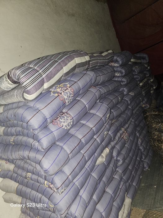 Korpa toshak kapilektlar