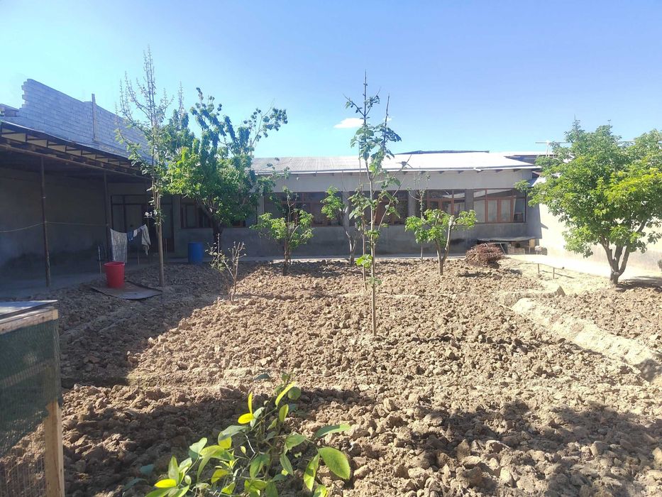 Toshkent tumanida Pabedada maxalasida 9 ta xonali  uchaska sotiladi.